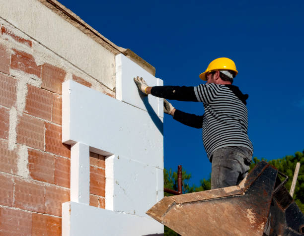 Best Insulation Installation Services in Wadena, MN