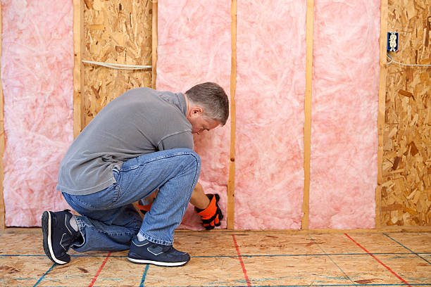 Best Commercial Insulation in Wadena, MN