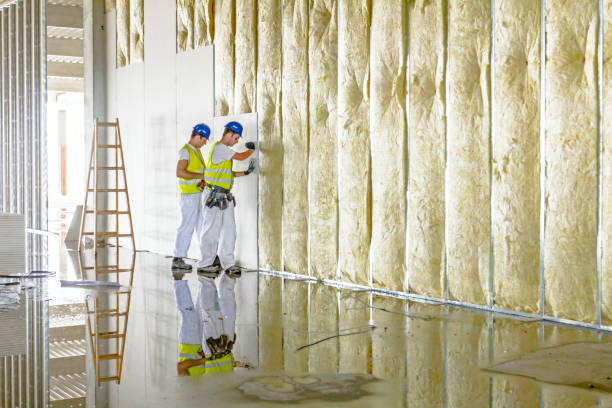 Best Residential Insulation in Wadena, MN